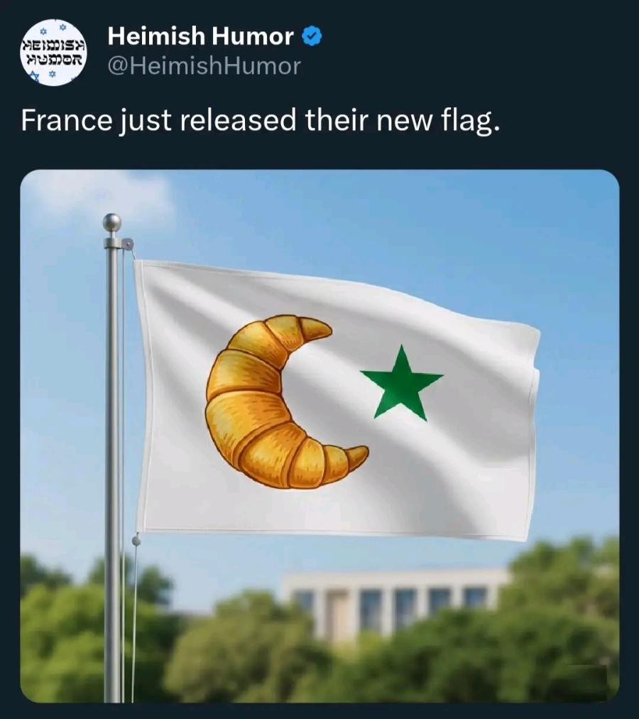 MEISA Heimish Humor @HeimishHumor France just released their new flag.