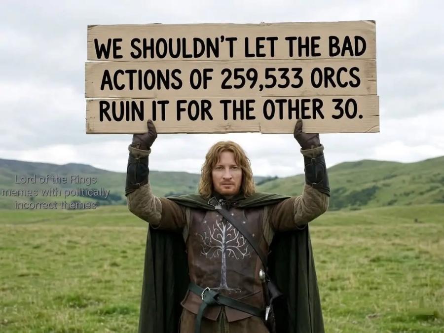 WE SHOULDN'T LET THE BAD ACTIONS OF 259,533 ORCS RUIN IT FOR THE OTHER 30. Lord of the Rings memes with politically incorrect themes