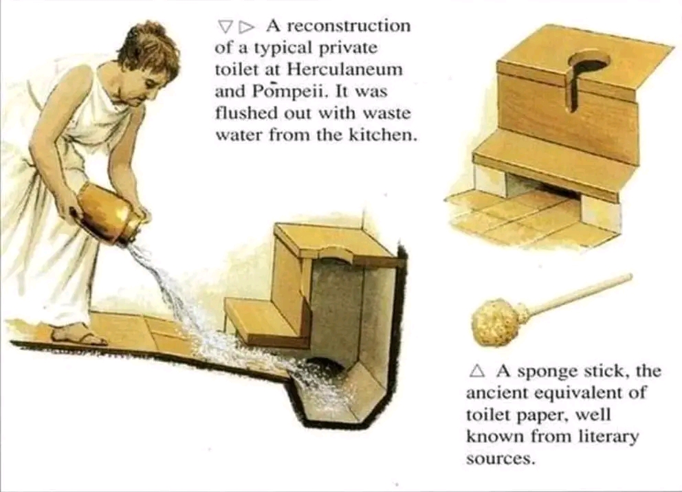 VD A reconstruction of a typical private toilet at Herculaneum and Pompeii. It was flushed out with waste water from the kitchen. A A sponge stick, the ancient equivalent of toilet paper, well known from literary sources.
