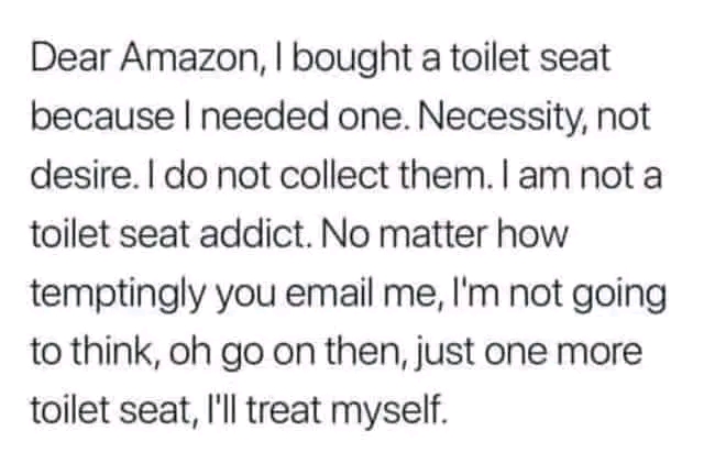 Dear Amazon, I bought a toilet seat because I needed one. Necessity, not desire. I do not collect them. I am not a toilet seat addict. No matter how temptingly you email me, I'm not going to think, oh go on then, just one more toilet seat, 'll treat myself.