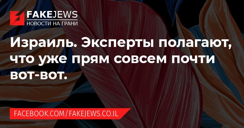 FAKEJEWS НОВОСТИ НА ГРАНИ Израиль. Эксперты полагают, что уже прям совсем почти BOT-BOT. FACEBOOK.COM/FAKEJEWS.CO.IL