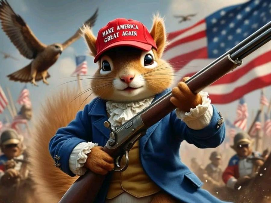 MAKE AMERICA MARE A MEATA GREAT AGAIN