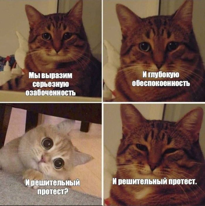 Мы выразим серьезную озабоченность И глубокую обеспокоенность И решительный протест? И решительный протест.