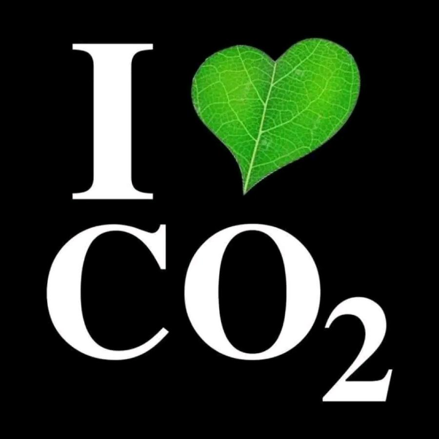 CO,