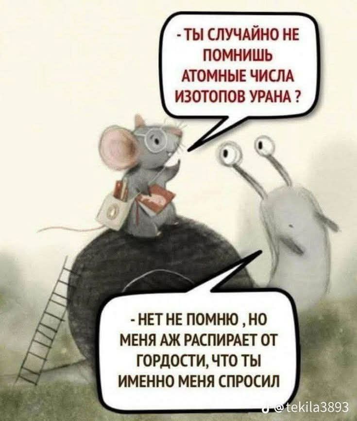 - ТЫ СЛУЧАЙНО НЕ ПОМНИШЬ АТОМНЫЕ ЧИСЛА ИЗОТОПОВ УРАНА? - НЕТ НЕ ПОМНЮ, НО МЕНЯ АЖ РАСПИРАЕТ ОТ ГОРДОСТИ, ЧТО ТЫ ИМЕННО МЕНЯ СПРОСИЛ orotekila3893