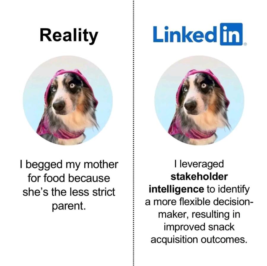 Reality I begged my mother for food because she's the less strict parent. Linked in I leveraged stakeholder intelligence to identify a more flexible decision- maker, resulting in improved snack acquisition outcomes.
