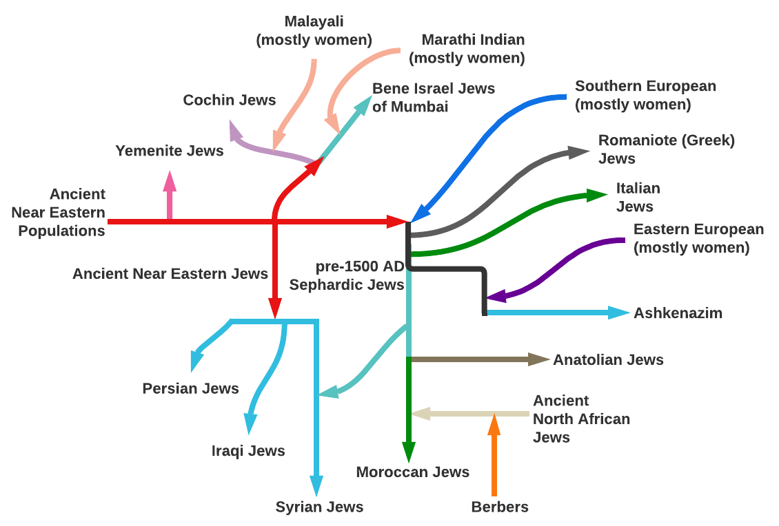 Malayali (mostly women) Cochin Jews Marathi Indian (mostly women) Bene Israel Jews of Mumbai Yemenite Jews Ancient Near Eastern Populations Ancient Near Eastern Jews Southern European (mostly women) Romaniote (Greek) Jews Italian Jews Eastern European (mostly women) pre-1500 AD Sephardic Jews &bull; Ashkenazim Persian Jews Anatolian Jews Ancient North African Jews Iraqi Jews Moroccan Jews Syrian Jews Berbers
