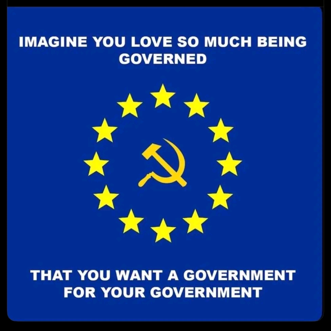 IMAGINE YOU LOVE SO MUCH BEING GOVERNED THAT YOU WANT A GOVERNMENT FOR YOUR GOVERNMENT