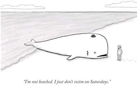"I'm not beached. I just don't swim on Saturdays."