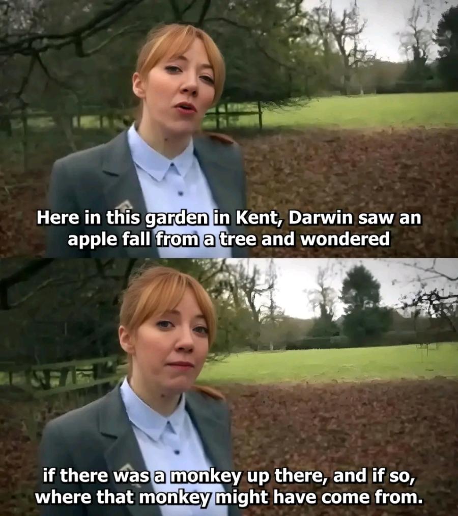 Here in this garden in Kent, Darwin saw an apple fall from a tree and wondered if there was a monkey up there, and if so, where that monkey might have come from.
