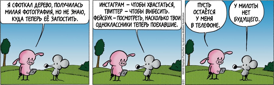 Я СФОТКАЛ ДЕРЕВО, ПОЛУЧИЛАСЬ МИЛАЯ ФОТОГРАФИЯ, НО НЕ ЗНАЮ, КУДА ТЕПЕРЬ ЕЁ ЗАПОСТИТЬ. ИНСТАГРАМ - ЧТОБЫ ХВАСТАТЬСЯ, ТВИТТЕР - ЧТОБЫ ВЫБЕСИТЬ. ФЕЙСБУК - ПОСМОТРЕТЬ, НАСКОЛЬКО ТВОИ ОДНОКЛАССНИКИ ТЕПЕРЬ ПОЕХАВШИЕ. ПУСТЬ ОСТАЁТСЯ У МЕНЯ В ТЕЛЕФОНЕ У МИЛОТЫ НЕТ БУДУЩЕГО,