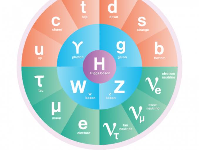 up T tau charm muon t top d down S strange photon g gluon b bottom H Higgs boson election neutrino W W boson Z boson mUOn neutrino e electron V. T tau neutrino