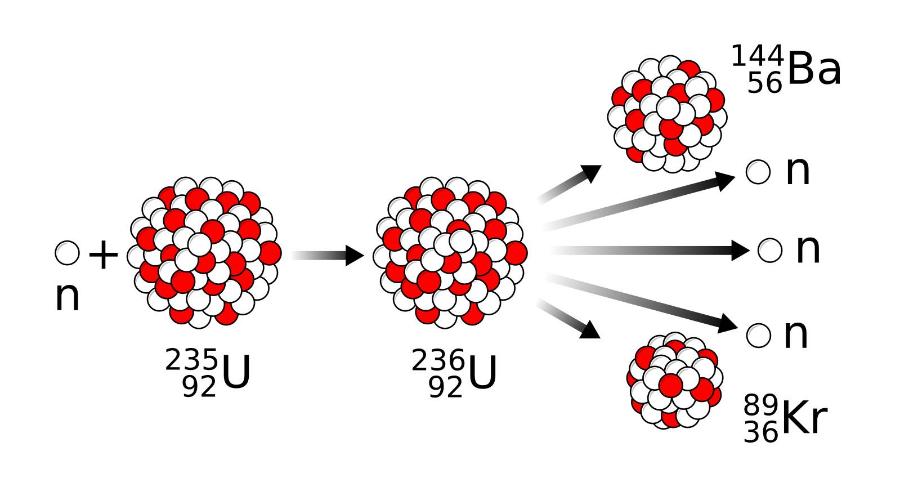 0+ n 235U 92 236U 92 144Ba 56 on n 89 36 Kr