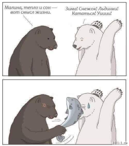 Малина, тепло и сон&mdash; вот смысл жизни. Зима! Снежок! Льдинки! Кататься! Yuuuu!