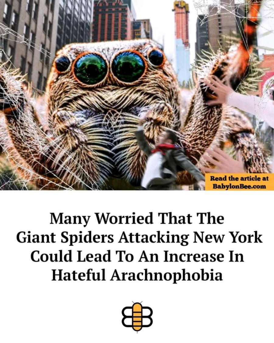 Read the article at BabylonBee.com Many Worried That The Giant Spiders Attacking New York Could Lead To An Increase In Hateful Arachnophobia B