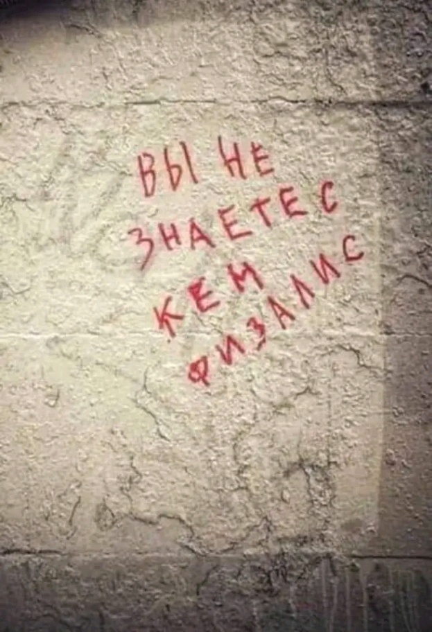 ВЫ НЕ KEM ФИЗАЛИС
