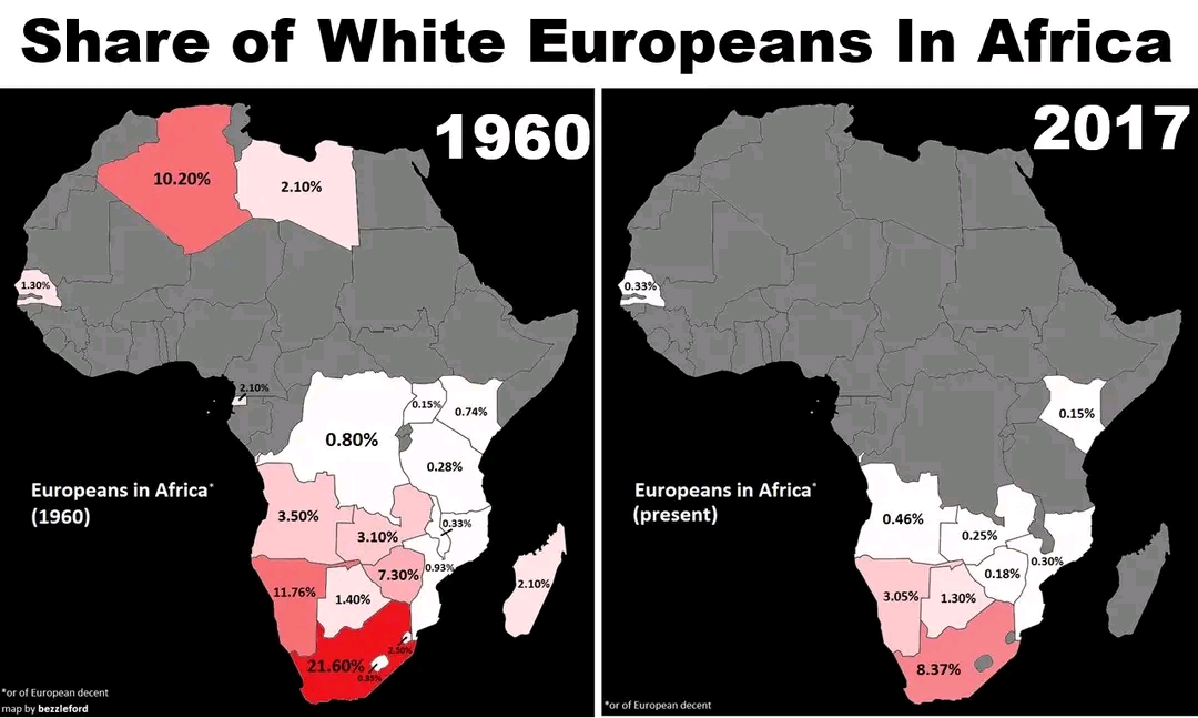 Share of White Europeans In Africa 1960 2017 10.20% 2.10% 0.33% 3.10% Europeans in Africa' (1960) 3.50% 11.76% 0.15% 0.80% 3.10% 0.74% 0.28% 0.33% 7.30% 0.93% 1.40% 0.15% Europeans in Africa (present) 0.46% 2.10% 0.25% 0.18% 3.05%- 1.30% 0.30% 21.60%2 8.37% "or of European decent map by bezzleford "or of European decent