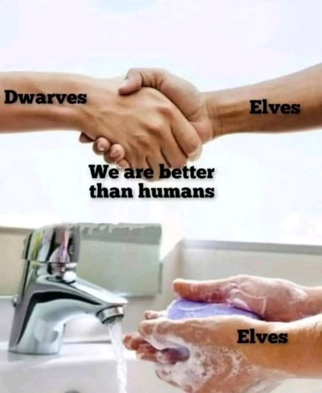 Dwarves Elves We are better than humans Elves