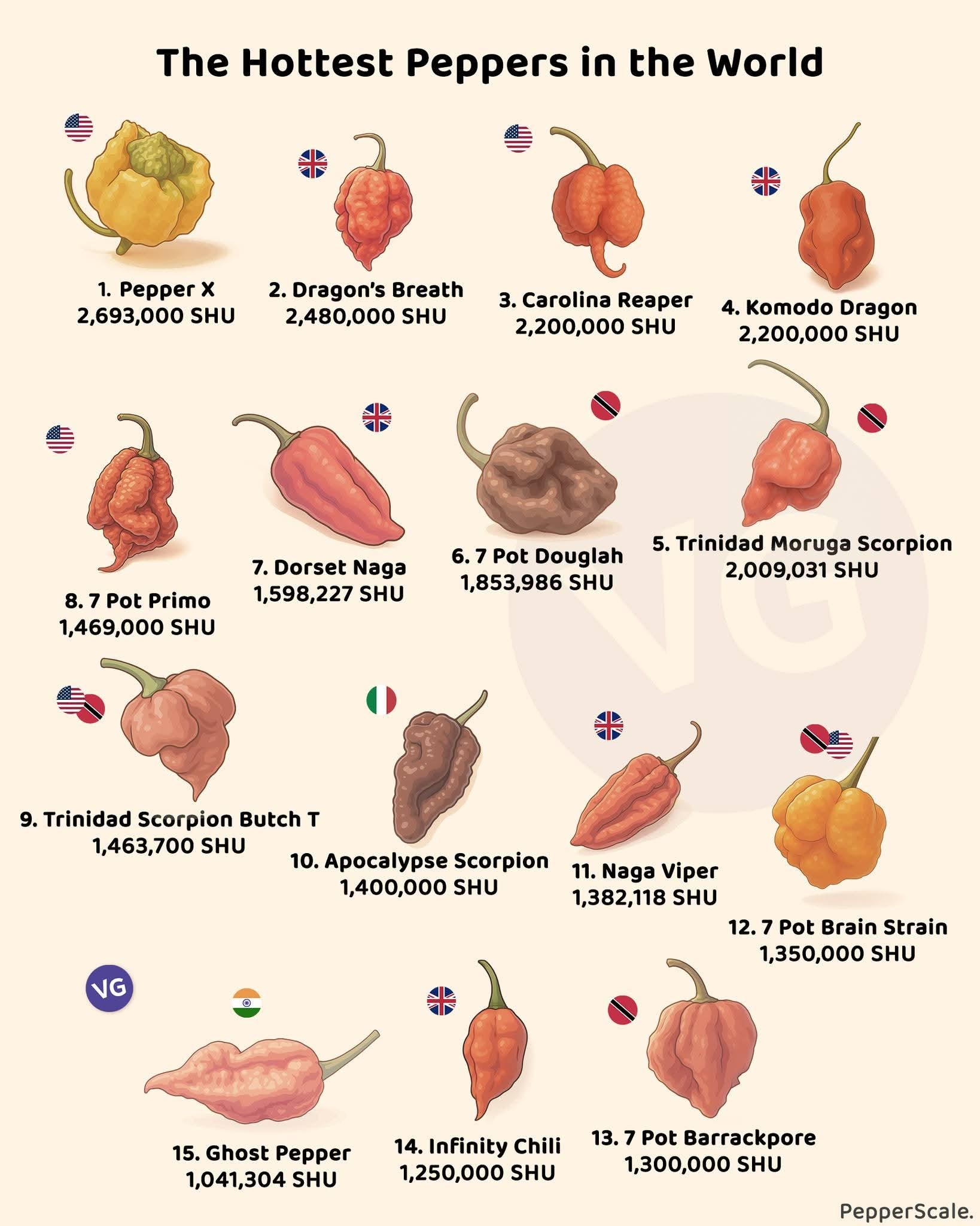 The Hottest Peppers in the World 1. Pepper X 2,693,000 SHU 2. Dragon's Breath 2,480,000 SHU 3. Carolina Reaper 2,200,000 SHU 4. Komodo Dragon 2,200,000 SHU 7. Dorset Naga 1,598,227 SHU 6. 7 Pot Douglah 1,853,986 SHU 5. Trinidad Moruga Scorpion 2,009,031 SHU 8. 7 Pot Primo 1,469,000 SHU 9. Trinidad Scorpion Butch T 1,463,700 SHU 10. Apocalypse Scorpion 1,400,000 SHU 11. Naga Viper 1,382,118 SHU 12.7 Pot Brain Strain 1,350,000 SHU NG 15. Ghost Pepper 1,041,304 SHU 14. Infinity Chili 1,250,000 SHU 13. 7 Pot Barrackpore 1,300,000 SHU PepperScale.