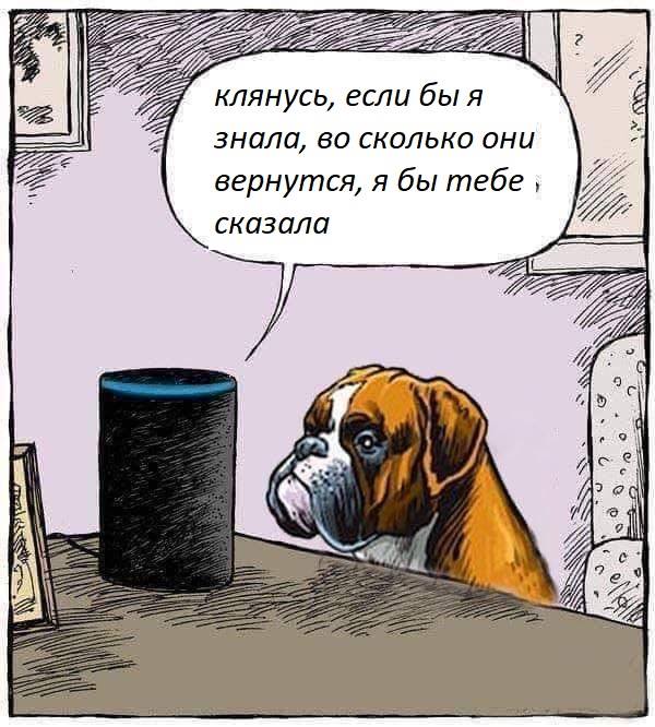 клянусь, если бы я знала, во сколько они вернутся, я бы тебе , сказала