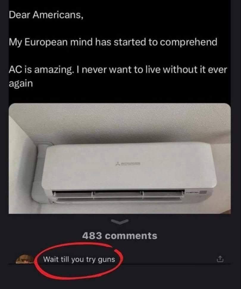 Dear Americans, My European mind has started to comprehend AC is amazing. I never want to live without it ever again 483 comments Wait till you try guns