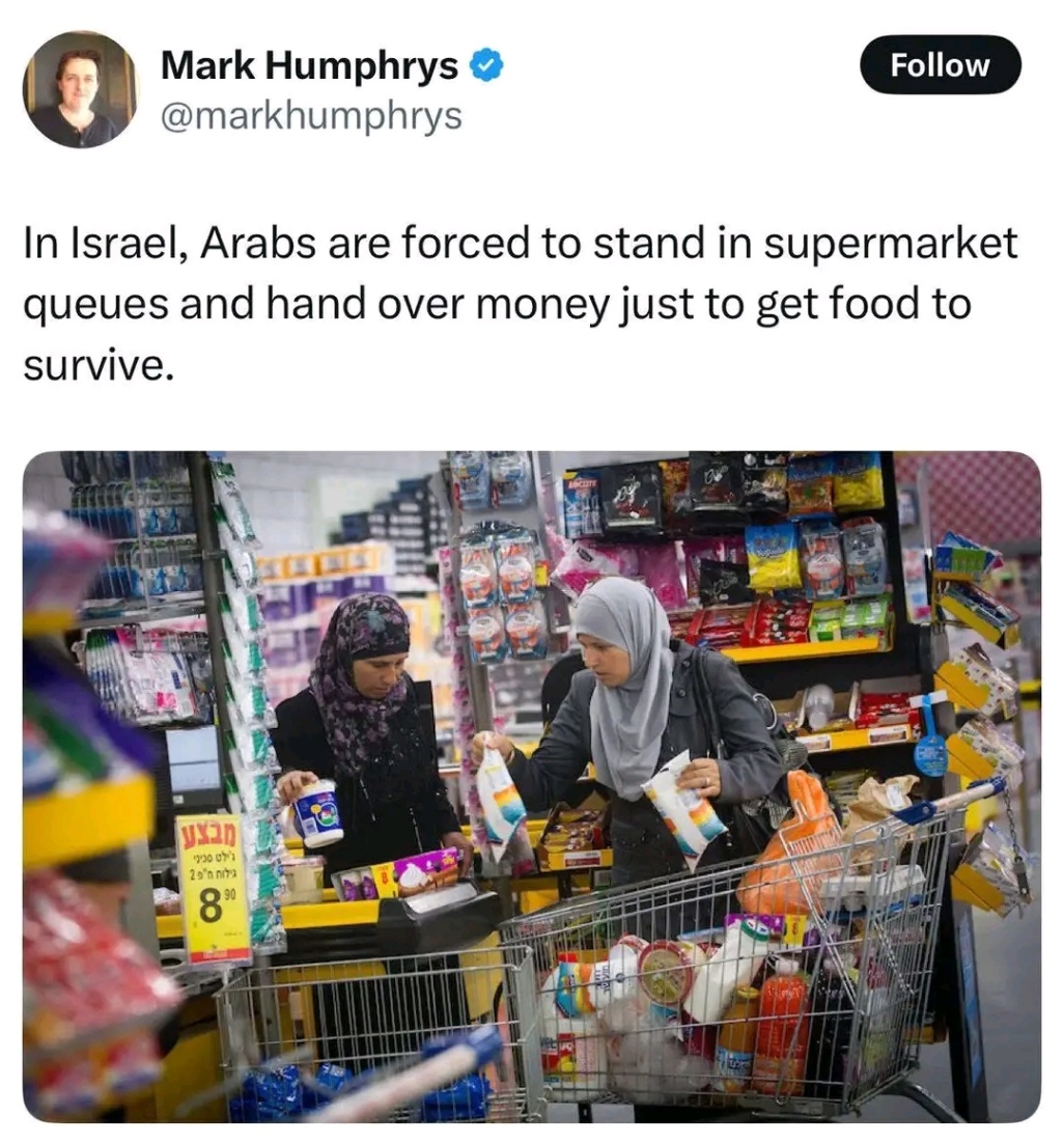 Mark Humphrys ® @markhumphrys Follow In Israel, Arabs are forced to stand in supermarket queues and hand over money just to get food to survive. yS20 1930 073 29 n nig