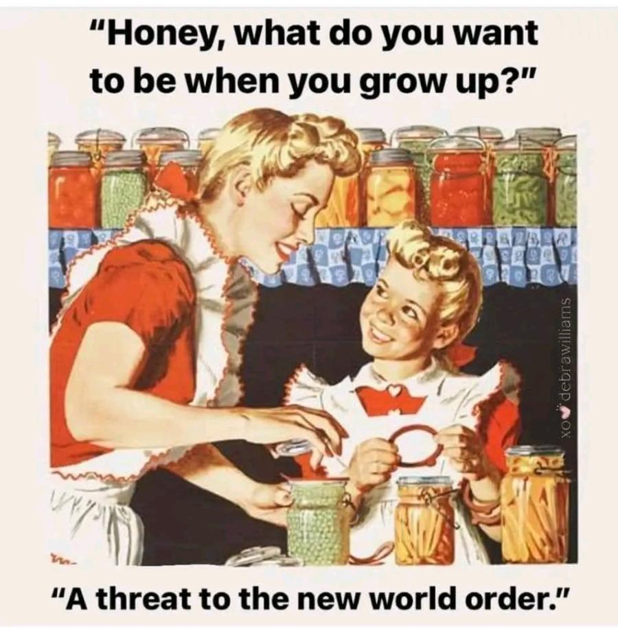 "Honey, what do you want to be when you grow up?" xow debrawilliams "A threat to the new world order."