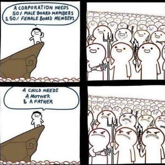 A CORPORATION NEEDS 50% MALE BOARD MEMBERS & 50/ FEMALE BOARD MEMBERS A CHILD NEEDS A MOTHER & A FATHER