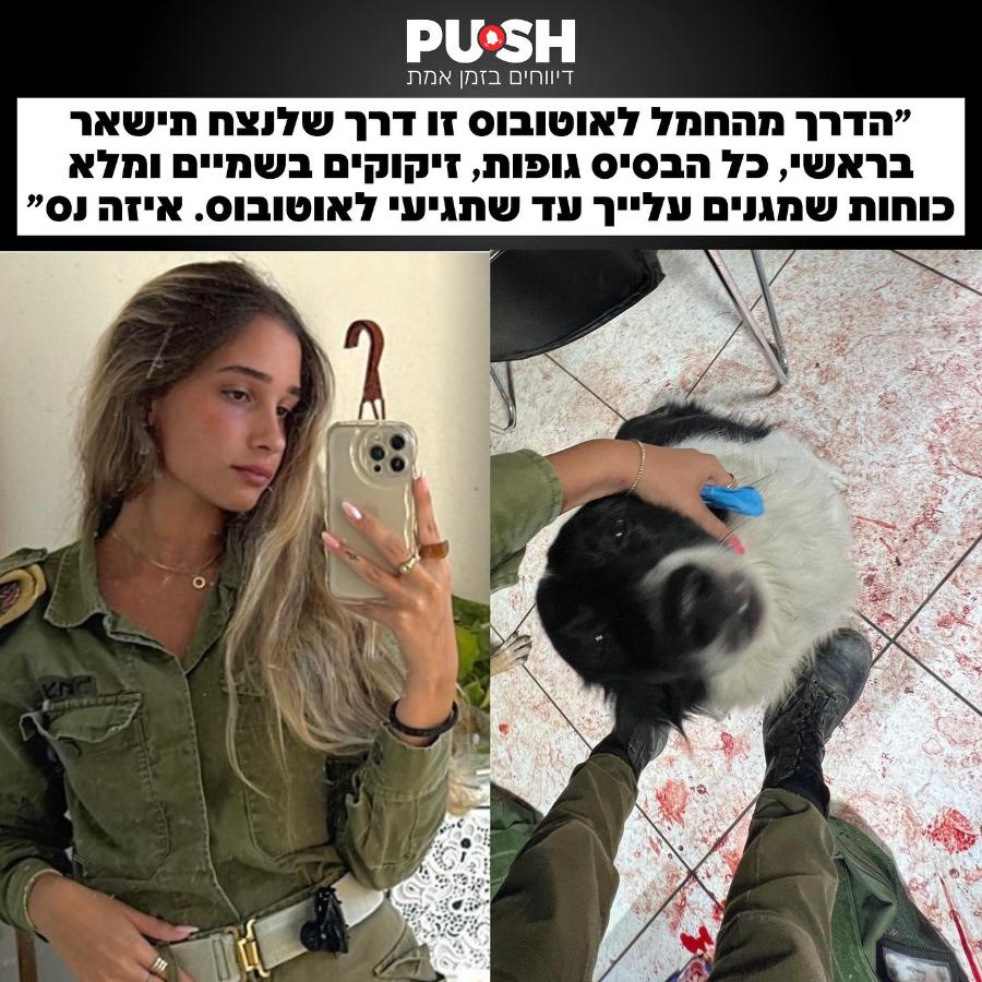 PU&bull;SH