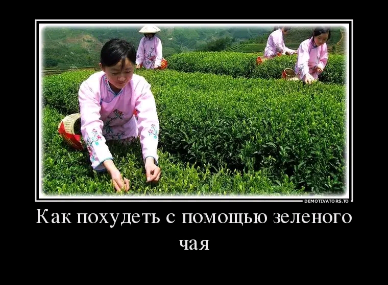DEMOTIVATO RS.TO Как похудеть с помощью зеленого чая